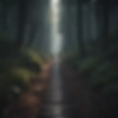Navigating Towards Hope A pathway through a dark forest leading towards light.