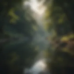 A serene landscape reflecting tranquility and mindfulness