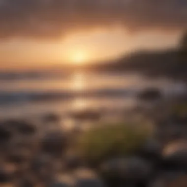 Hopeful Sunrise A serene landscape with a sunrise symbolizing hope