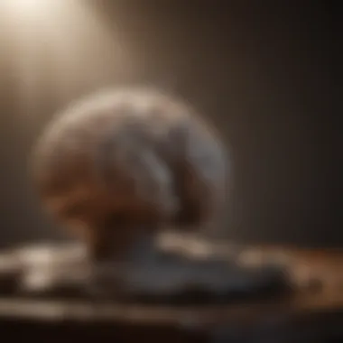 The Science of Meditation Visualization of brain activity during meditation
