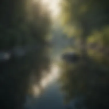 Reflection of peace and tranquility Calm water reflecting serenity
