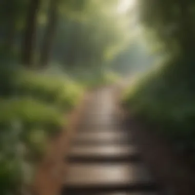 Nature's Serenity: A Path to Mindfulness A tranquil landscape promoting mindfulness and calm