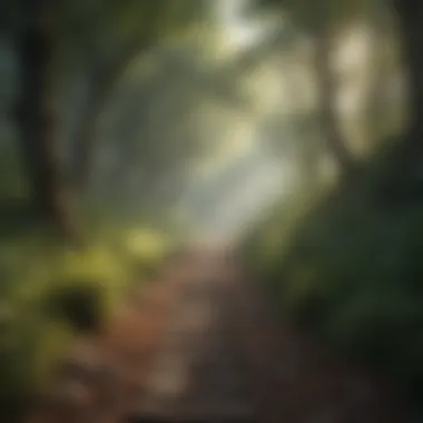Journey to Emotional Freedom A tranquil forest path inviting a journey of healing