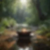 Meditative landscape illustrating tranquility