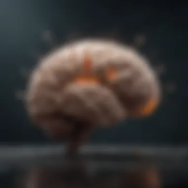 Brain Activity and Meditation Visualization of brain activity during meditation.