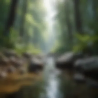 Tranquil Environment for Mindfulness A serene landscape illustrating tranquility and mindfulness.