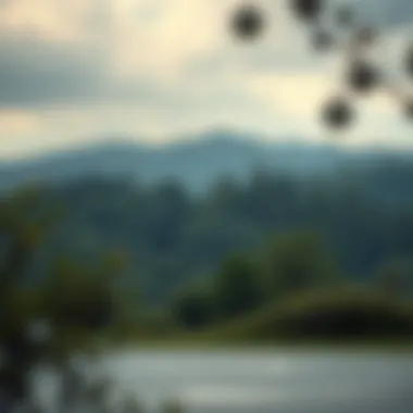 Nature's Calm: A Mindful Retreat A serene landscape promoting mindfulness and tranquility