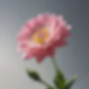 Symbol of Growth: Resilience in Bloom A close-up of a delicate flower symbolizing growth and resilience.