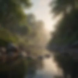 A tranquil landscape promoting mindfulness