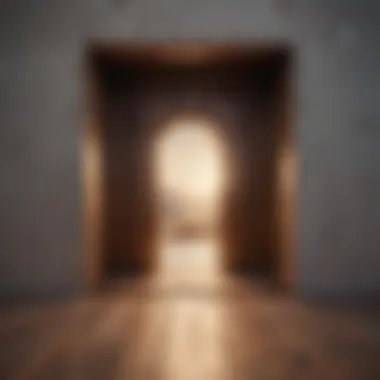 Unlocking Potential Through New Perspectives A symbolic doorway opening to new possibilities