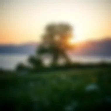 A serene landscape illustrating calmness and tranquility