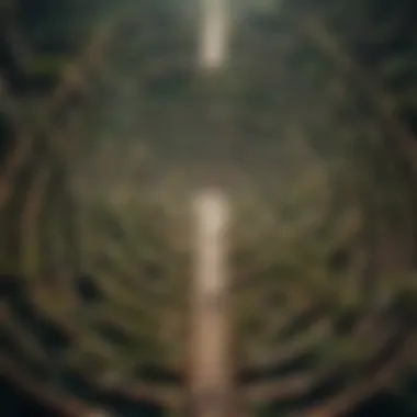 The Maze of Life An intricate maze representing the complexities of life, with a clear path leading through it.