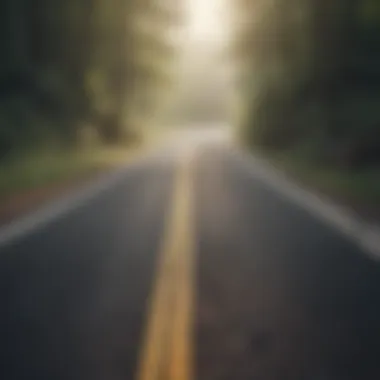 The Journey Toward Emotional Well-Being A journey depicted through winding roads