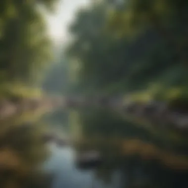 Tranquility in Nature A serene landscape depicting tranquility and peace