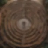 A maze symbolizing the complexity of finding a therapist