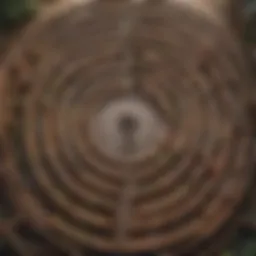A maze symbolizing the complexity of finding a therapist