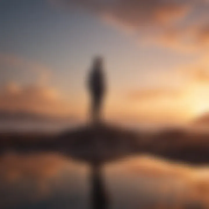 A solitary figure gazing at a sunset, symbolizing reflection and introspection.