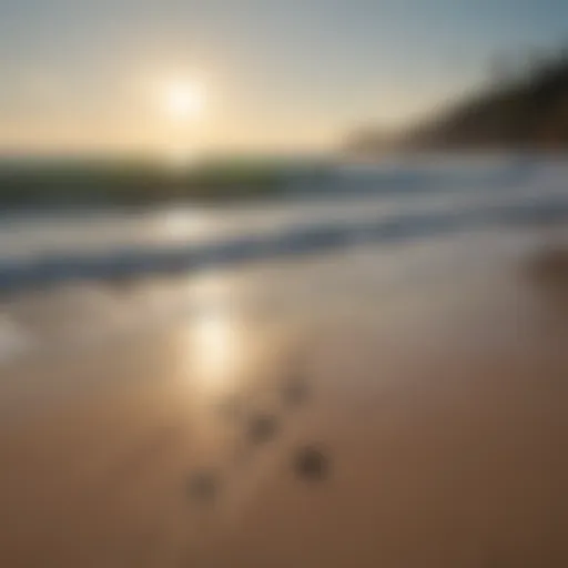 A serene landscape with gentle waves lapping against a sandy shore