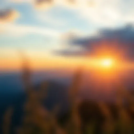 A serene landscape representing inner peace and self-discovery