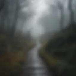 A winding path through a dense fog symbolizing uncertainty