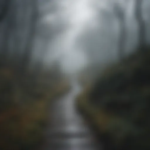 A winding path through a dense fog symbolizing uncertainty