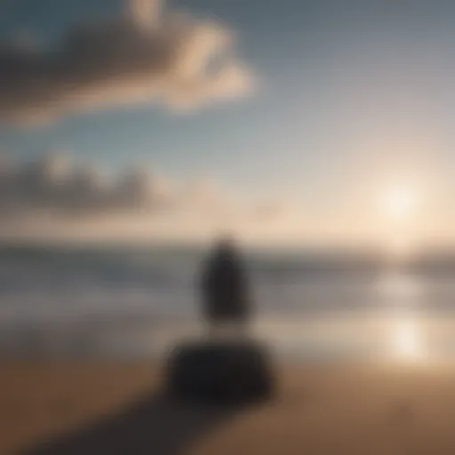 A solitary figure gazing into the horizon, symbolizing contemplation in times of uncertainty.