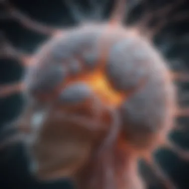 Neural Pathways and Functional Connectivity Illustration of neural pathways in the brain highlighting functional connectivity