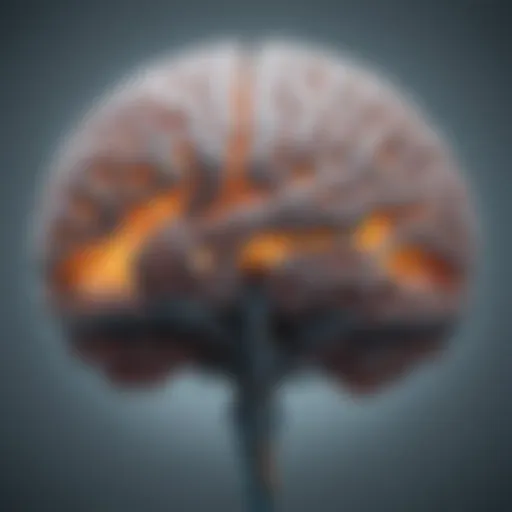 A brain illuminated with neural connections representing neuroplasticity.