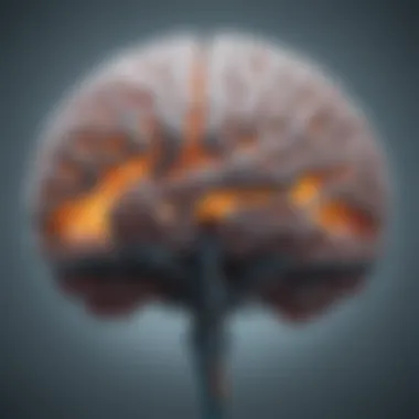 The Illuminated Brain: Understanding Neuroplasticity A brain illuminated with neural connections representing neuroplasticity.