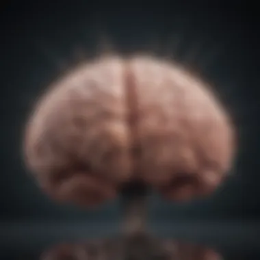 Understanding Emotional Triggers An illustration of a brain with emotional pathways highlighted