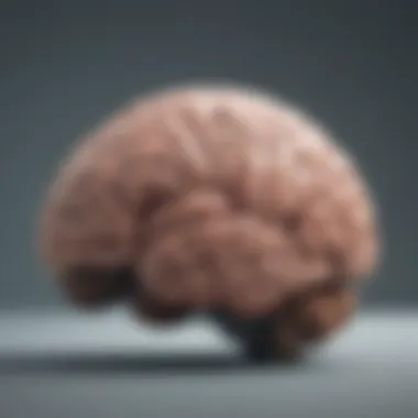 Cognitive Mechanisms A brain illustration highlighting cognitive processes