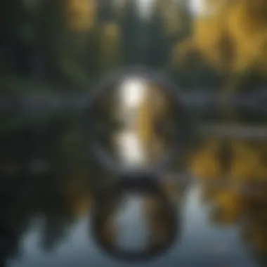 Mirror of the Mind Reflection in a Calm Lake