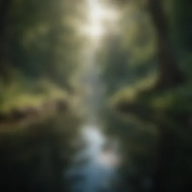 Hope in Nature A serene landscape representing hope and tranquility.