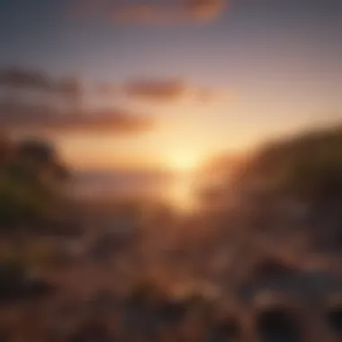 New Beginnings A calming scene of a sunrise symbolizing new beginnings.