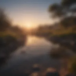 Contemplative landscape at sunrise