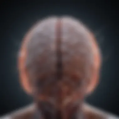 Neural Pathways and Brain Reorganization Neural pathways illustrating brain reorganization
