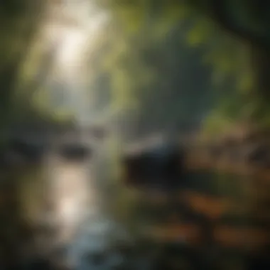 Embracing Nature's Serenity Calming nature scene illustrating tranquility
