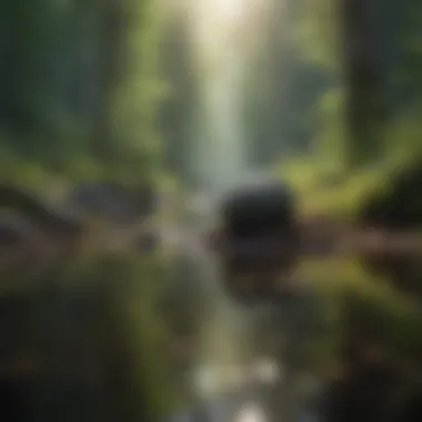Finding Peace in Nature A serene landscape reflecting tranquility and peace