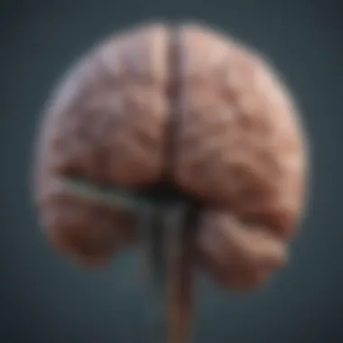 Understanding Emotional Mechanisms An abstract representation of the brain showcasing emotional pathways