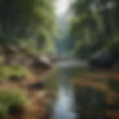 Tranquility in Nature A serene landscape representing tranquility and peace.