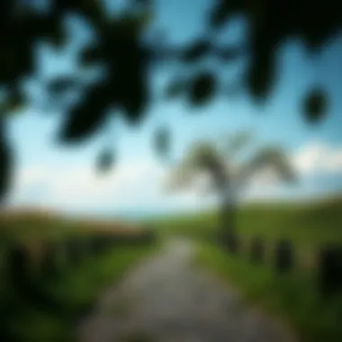 A tranquil landscape illustrating serenity