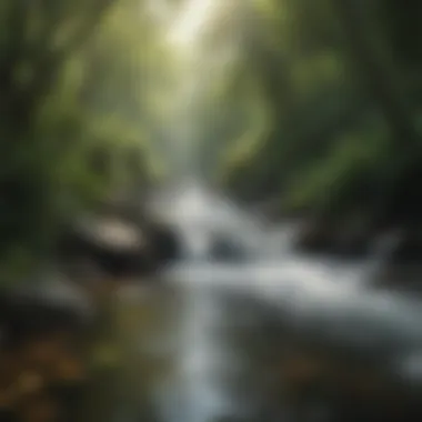 A tranquil nature scene with flowing water and lush greenery