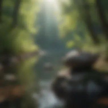 Embracing Nature for Calm A serene landscape encouraging relaxation