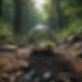 A serene landscape representing mental clarity