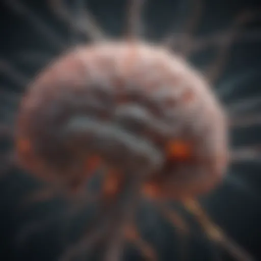 Conceptual illustration of the brain forming new neural connections