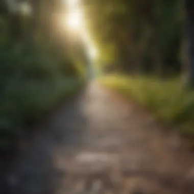 A pathway lined with motivational quotes