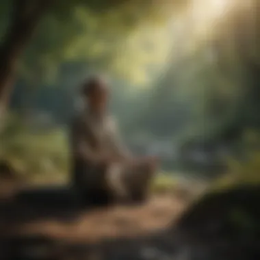 Mindfulness meditation in nature