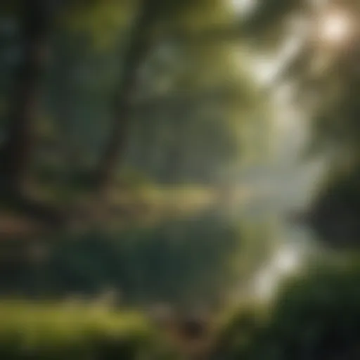 Serene landscape promoting calmness
