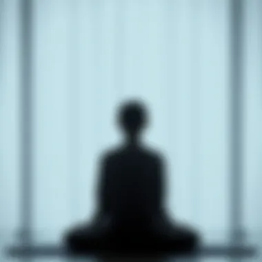 A person meditating in a tranquil environment