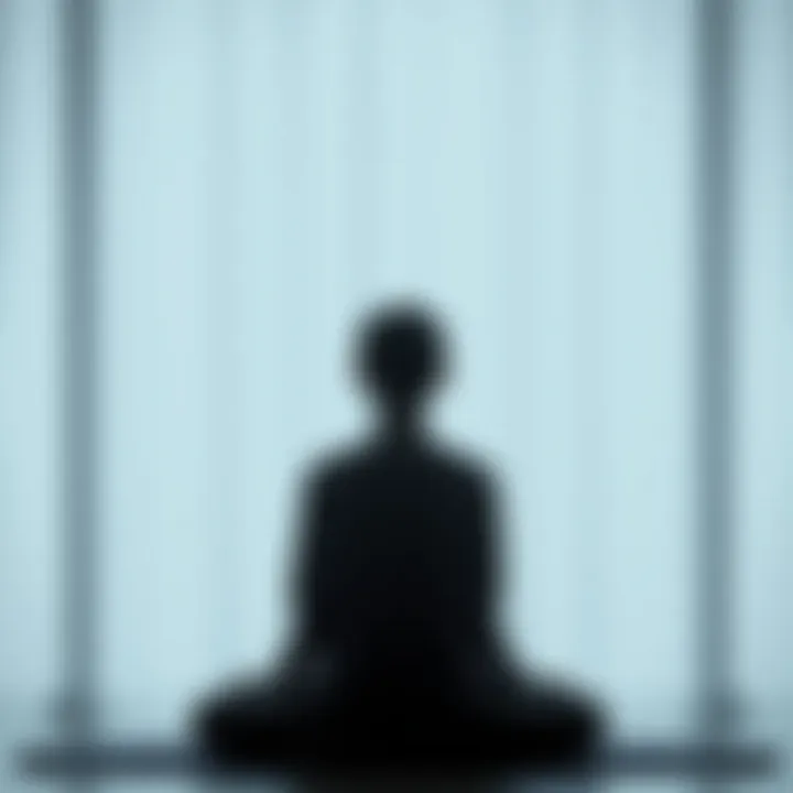 A person meditating in a tranquil environment